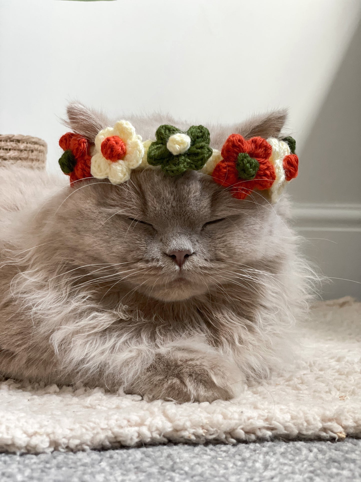 •Pet Crochet Collar - Fall-ing Flowers🌼