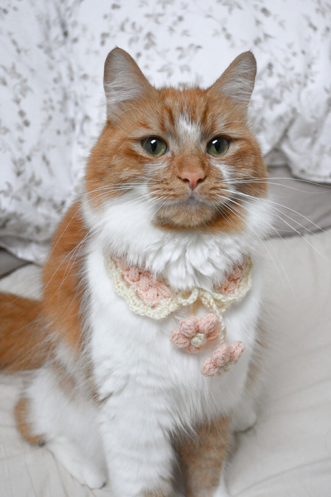 •Pet Crochet Collar - Baby Blossom🌸